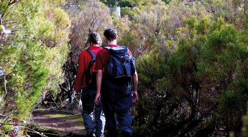 Séjour découverte à Funchal 4* - Madère pas cher photo 4