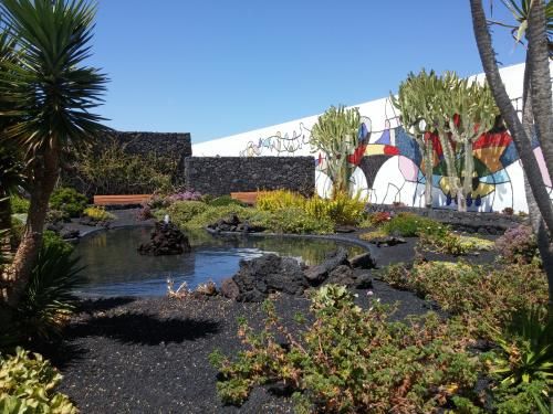 Circuit Entre plages et volcans de Lanzarote, logement au Framissima 4* pas cher photo 4