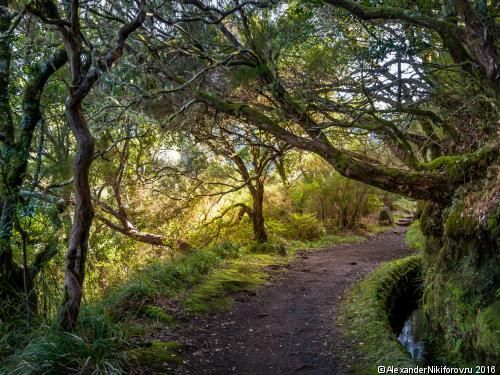 Circuit Nature et traditions et séjour Dorisol 3* pas cher photo 4