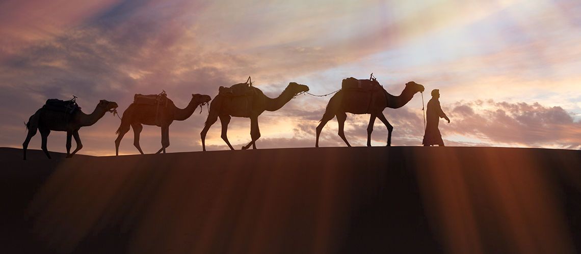 Circuit Grand Sud Marocain & Extension Hôtel Royal Atlas Agadir 5* pas cher photo 12