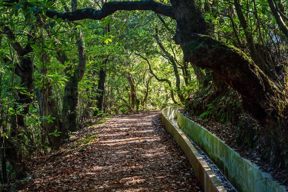 Circuit Echappée Active à Madère depuis le Club Héliades Pestana Ocean Bay 4* pas cher photo 3