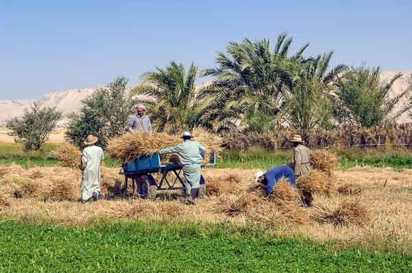 Les Déesses du Nil & Bellevue Beach 4* pas cher photo 5