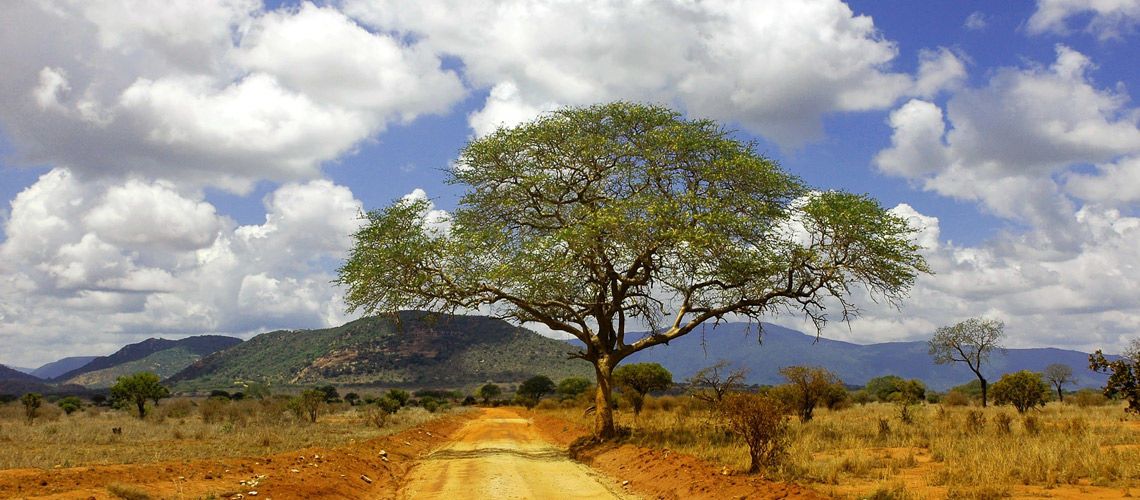 Safari Tsavo East et Séjour au Jumbo Watamu Resort 4* nl pas cher photo 6