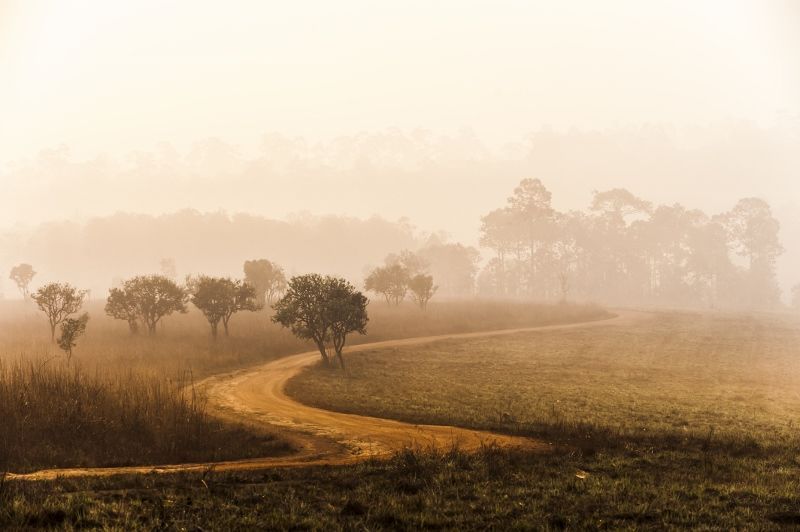 Safari Tsavo East et Séjour au Neptune Village Beach Resort & Spa 4* nl pas cher photo 2
