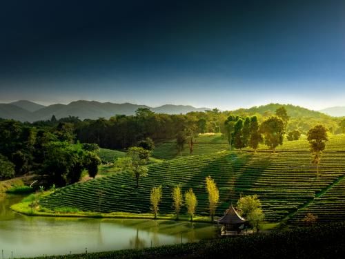 Combiné circuit et hôtel Beautés du Siam + extension Framissima Kalima Resort Khao Lak pas cher photo 2