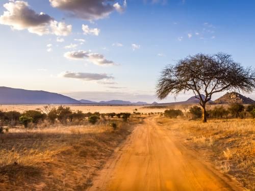 Combiné circuit et hôtel Safari et plage de l'océan Indien - 1 nuit Tsavo Est pas cher photo 3