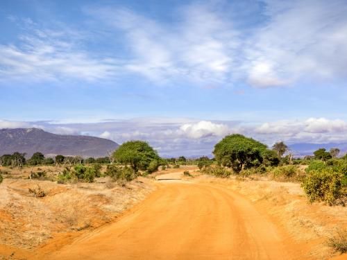 Combiné circuit et hôtel Safari et plage de l'océan Indien - 1 nuit Tsavo Est pas cher photo 4