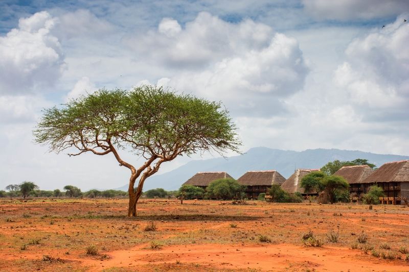 Safari Ngutuni Salt Lick et Séjour Neptune Village Beach Resort & Spa 4* nl pas cher photo 1