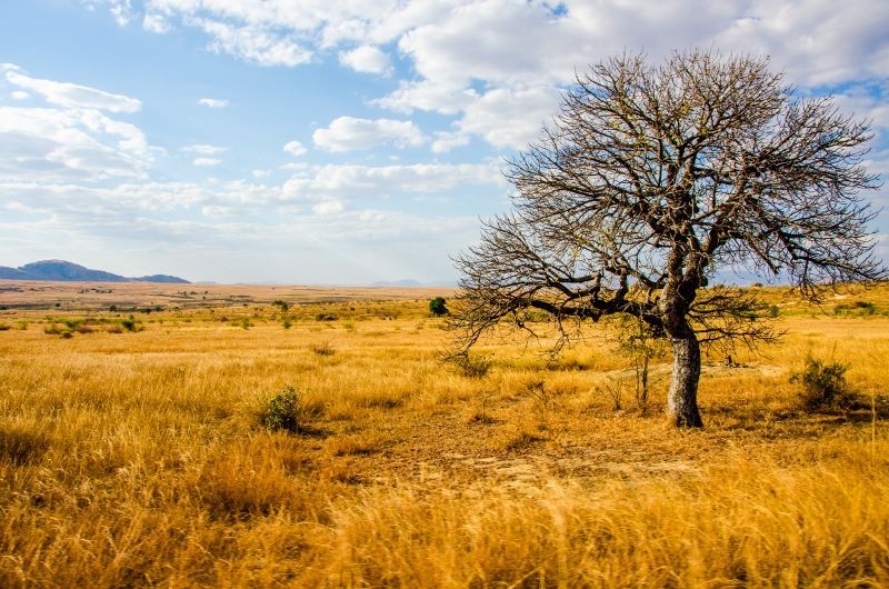 Safari Ngutuni Salt Lick et Séjour Neptune Village Beach Resort & Spa 4* nl pas cher photo 5