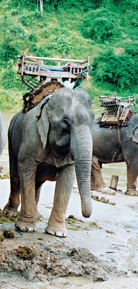 Du Royaume du Siam aux Sables de Phuket 4* pas cher photo 11