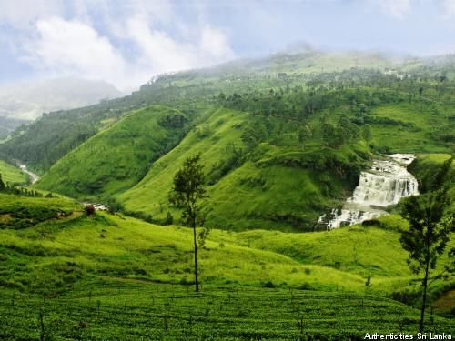 Circuit Balade cinghalaise (circuit privatif) pas cher photo 1