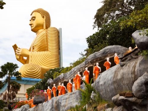 Circuit Balade cinghalaise (circuit privatif) pas cher photo 3