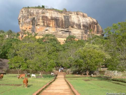 Circuit Balade cinghalaise (circuit privatif) pas cher photo 6