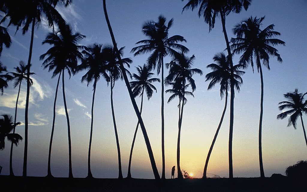 Culture et détente 3 - Offre spéciale Noces pas cher photo 3