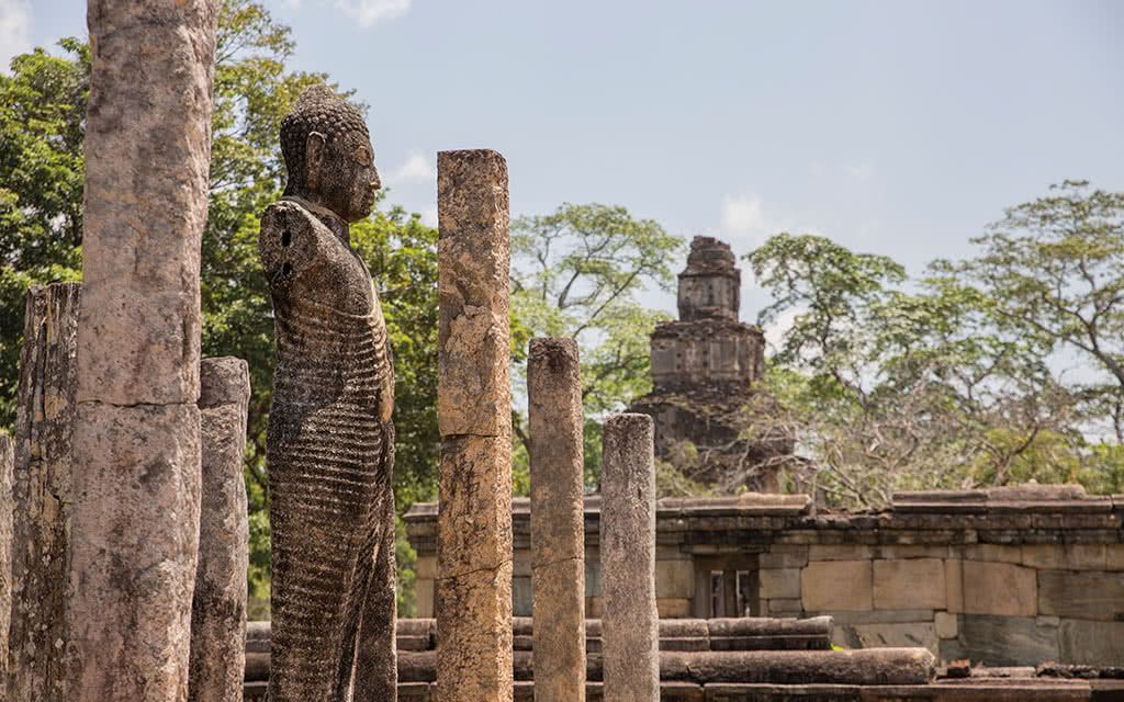 Culture et détente 3 - Offre spéciale Noces pas cher photo 8