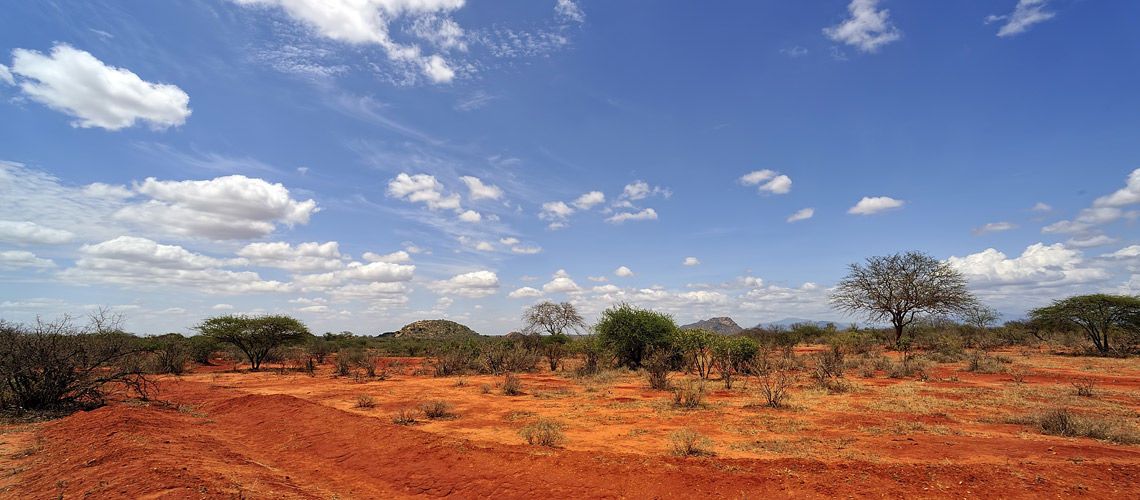 Safaris Tsavo West et Tsavo East et Séjour au Jumbo Watamu Resort 4* nl pas cher photo 2