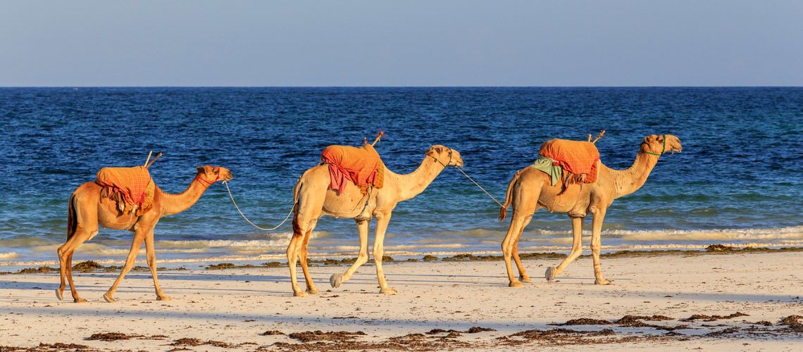 Safaris Tsavo West et Tsavo East et Séjour au Jumbo Watamu Resort 4* nl pas cher photo 6