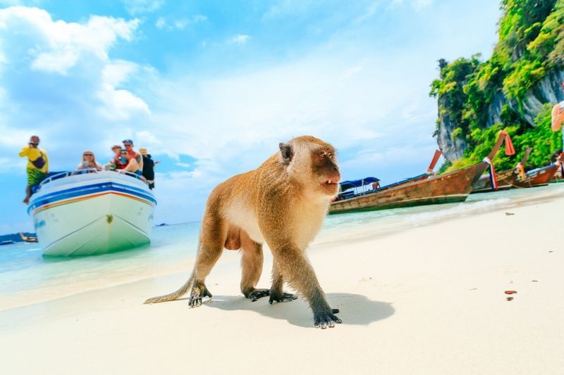 Kappa Circuit Les Perles du Sud & Extension SeaView Patong Hotel 4* pas cher photo 2