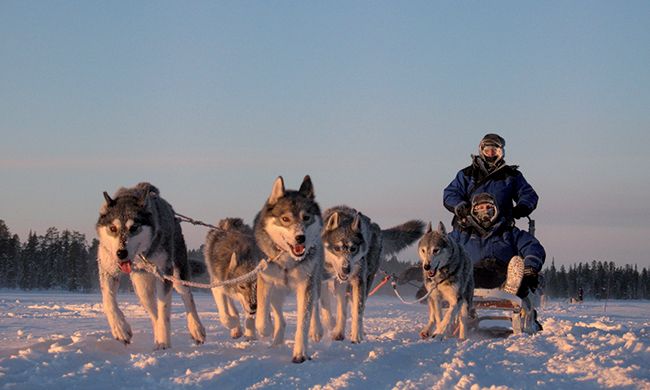 LUMIERE DE LAPONIE AKAS HOTELLI pas cher photo 10