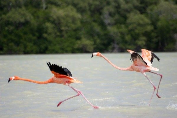 Circuit Les Merveilles du Yucatan pas cher photo 3