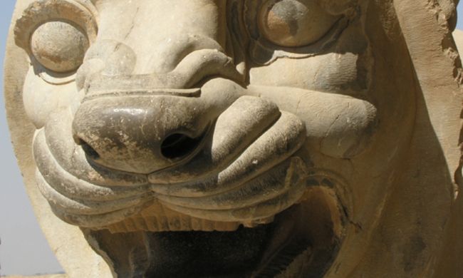 INDISPENSABLE IRAN pas cher photo 7