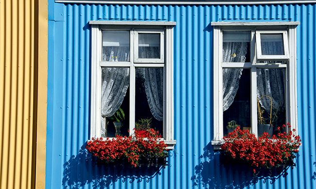 INDISPENSABLE ISLANDE HIVER pas cher photo 4