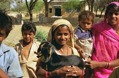 Sur la route du Taj Mahal et Dubai pas cher photo 8