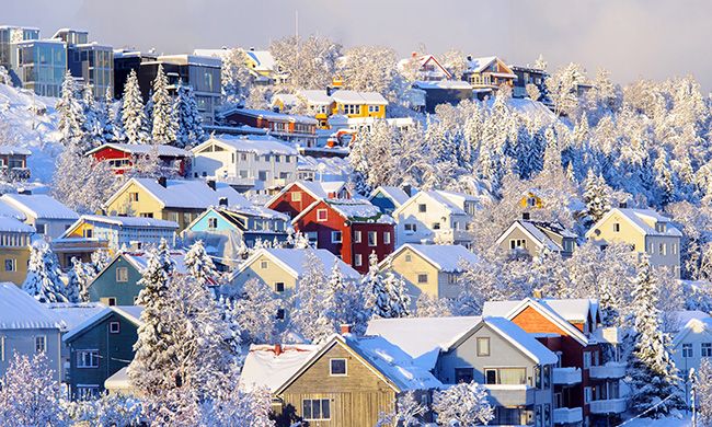 INDISPENSABLE EXPERIENCE ARCTIQUE pas cher photo 1