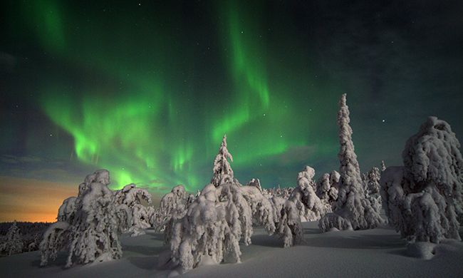 INDISPENSABLE EXPERIENCE ARCTIQUE pas cher photo 2