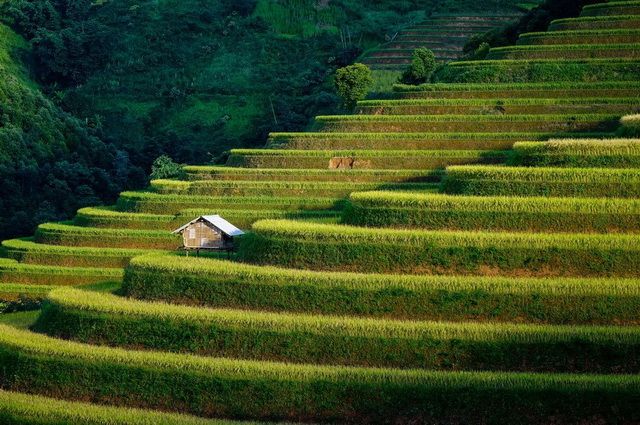 Vietnam Essentiel + prologue Sapa pas cher photo 4