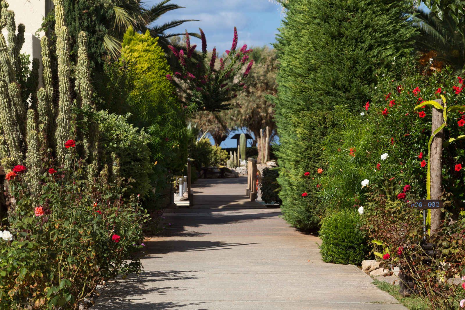 Des vestiges et des dieux + extension au Cap Sounion pas cher photo 7