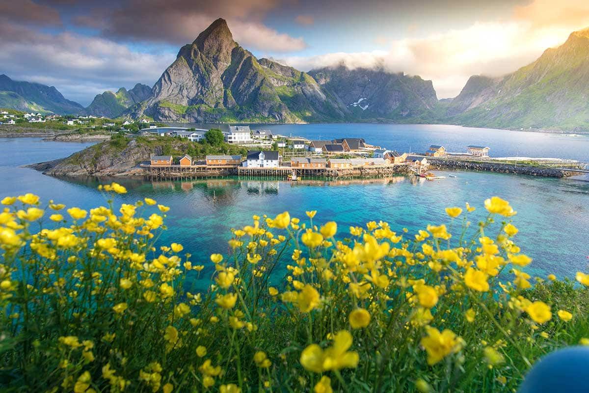 Circuit Îles Lofoten, fjords et baleines pas cher photo 7