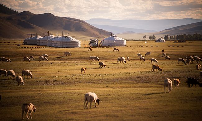 CONFIDENTIEL MONGOLIE pas cher photo 1