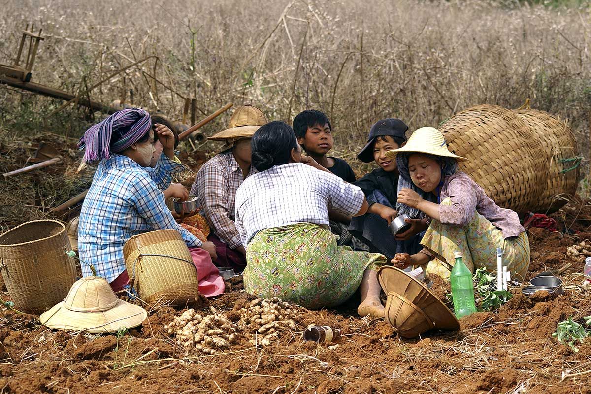 Circuit Myanmar la Terre d'Or pas cher photo 8