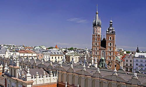 INDISPENSABLE POLOGNE pas cher photo 5