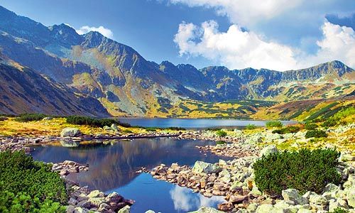 INDISPENSABLE POLOGNE pas cher photo 7