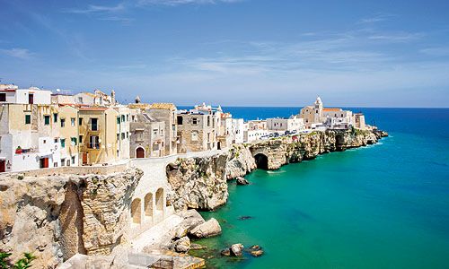 INDISPENSABLE POUILLES pas cher photo 4