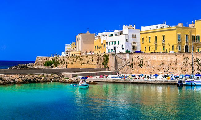 INDISPENSABLE POUILLES pas cher photo 6