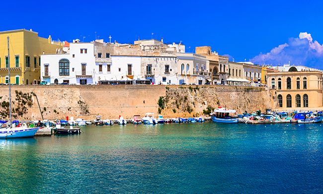 INDISPENSABLE POUILLES pas cher photo 7