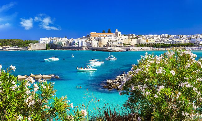 INDISPENSABLE POUILLES pas cher photo 9