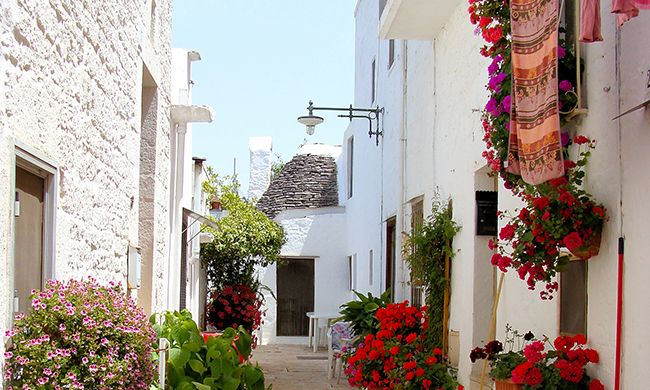 INDISPENSABLE POUILLES pas cher photo 11