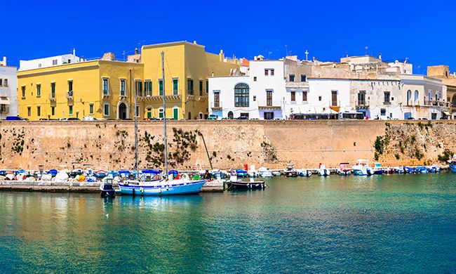 INDISPENSABLE POUILLES pas cher photo 12