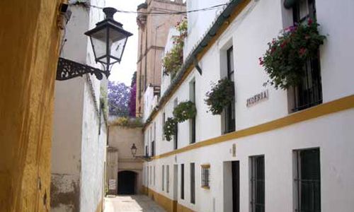 INDISPENSABLE ANDALOUSIE pas cher photo 5