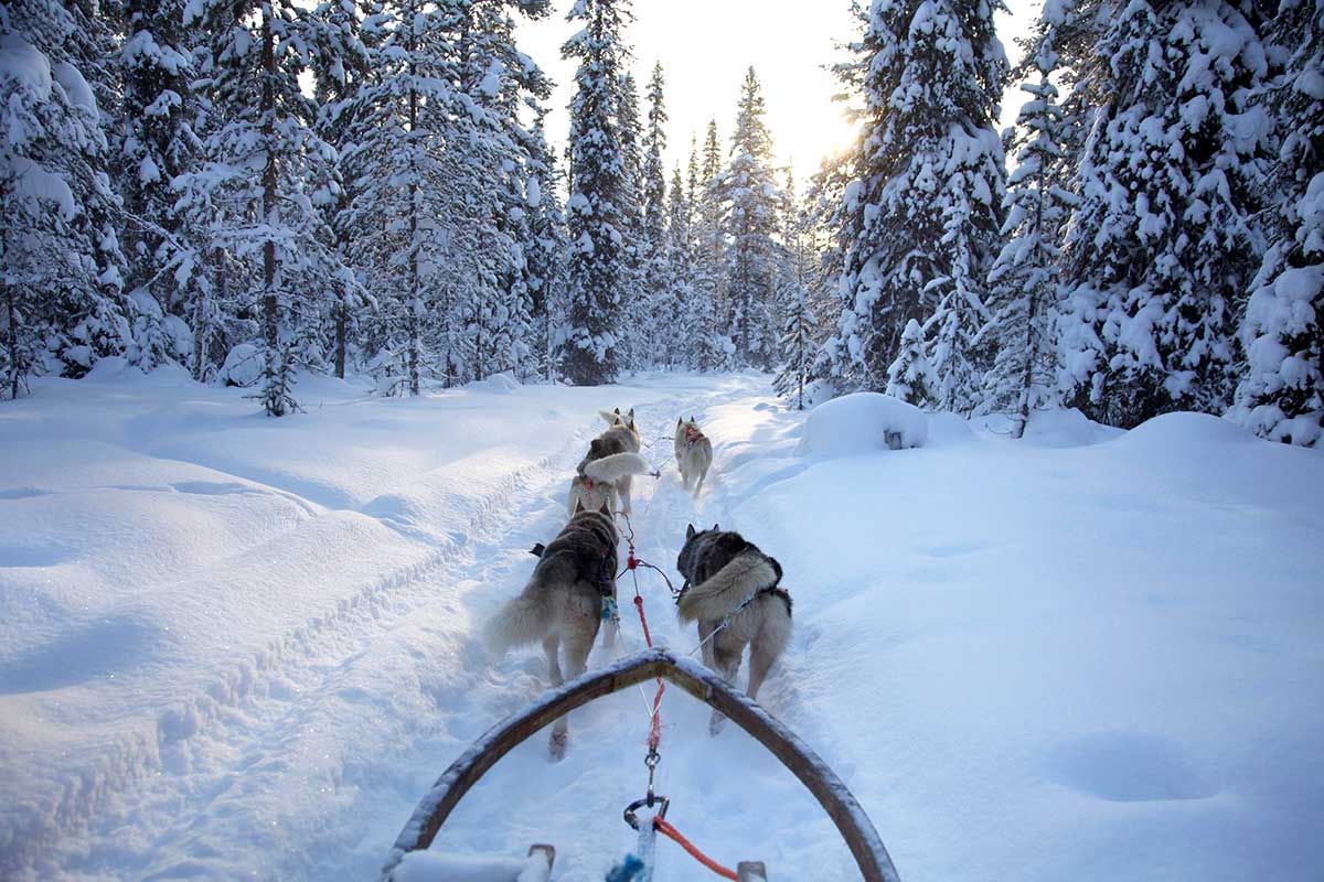 Séjour Magie des Fêtes à Ivalo - Noël à Ivalo (7 nuits) pas cher photo 6