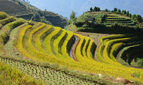 LUMIERES DE CHINE pas cher photo 3