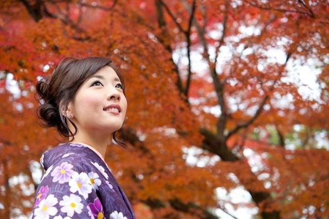 Splendeurs du Japon 10 ou 11J/8N - 2019 pas cher photo 2