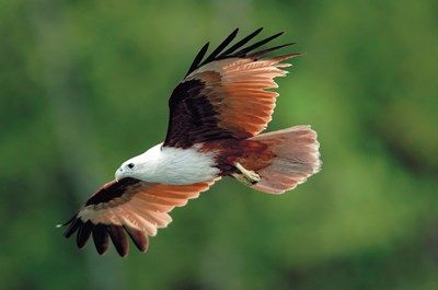 Les merveilles de la péninsule pas cher photo 3