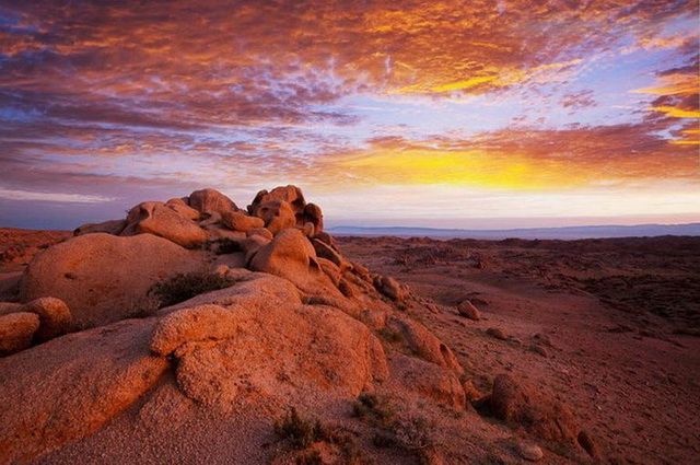 Mongolie Intimiste - Départ Festival des Yaks pas cher photo 11