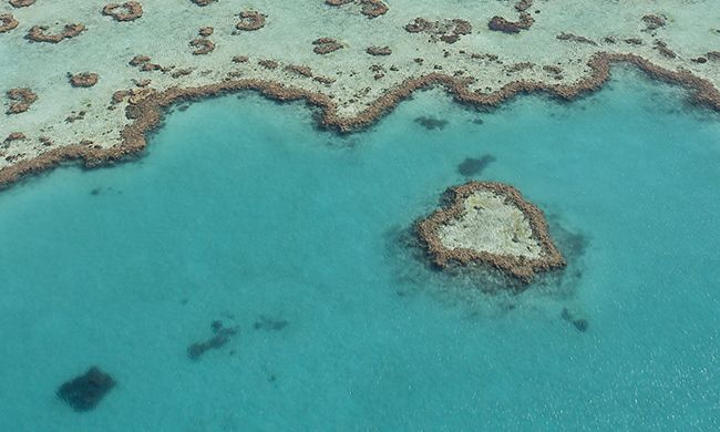 LUMIERE D'AUSTRALIE + EXTENSION DARWIN pas cher photo 5