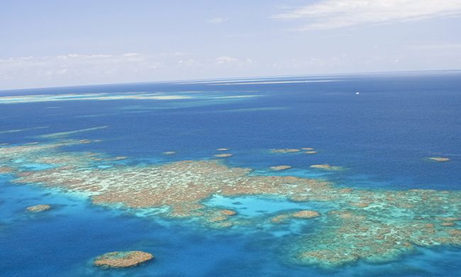 LUMIERE D'AUSTRALIE + EXTENSION DARWIN pas cher photo 6